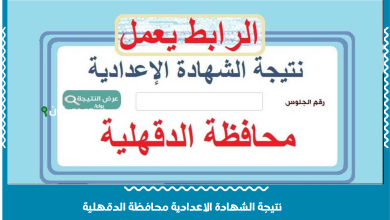 نتيجة الشهادة الاعدادية محافظة الدقهلية